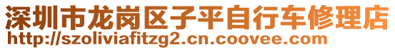 深圳市龍崗區(qū)子平自行車修理店