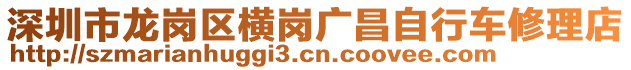 深圳市龍崗區(qū)橫崗廣昌自行車修理店