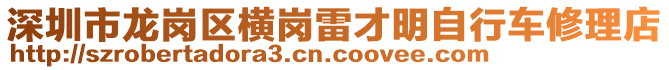 深圳市龍崗區橫崗雷才明自行車修理店