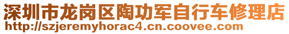 深圳市龍崗區(qū)陶功軍自行車修理店
