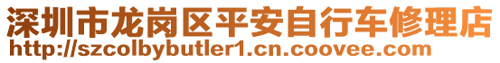 深圳市龍崗區(qū)平安自行車修理店