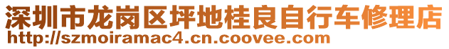 深圳市龍崗區(qū)坪地桂良自行車修理店