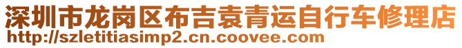 深圳市龍崗區布吉袁青運自行車修理店
