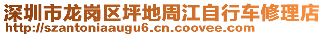 深圳市龍崗區坪地周江自行車修理店