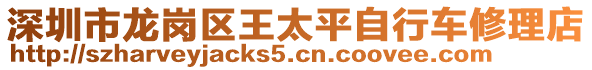 深圳市龍崗區(qū)王太平自行車修理店