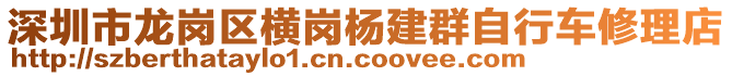 深圳市龍崗區(qū)橫崗楊建群自行車修理店