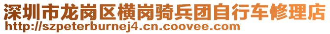 深圳市龍崗區(qū)橫崗騎兵團自行車修理店