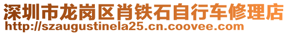 深圳市龍崗區(qū)肖鐵石自行車修理店