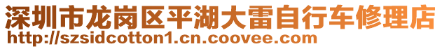 深圳市龍崗區(qū)平湖大雷自行車修理店