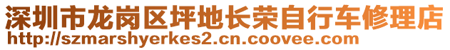 深圳市龍崗區(qū)坪地長榮自行車修理店