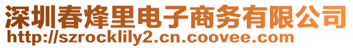 深圳春烽里電子商務有限公司