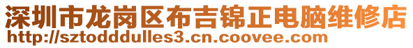 深圳市龍崗區布吉錦正電腦維修店