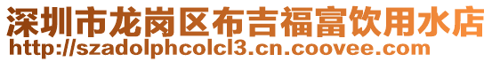 深圳市龍崗區布吉福富飲用水店