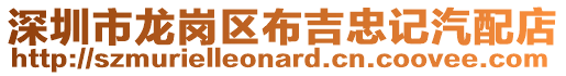 深圳市龍崗區布吉忠記汽配店