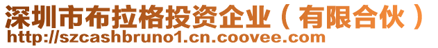 深圳市布拉格投資企業(有限合伙)