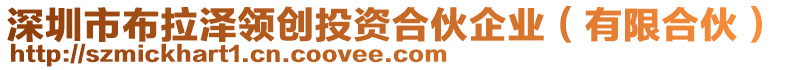 深圳市布拉澤領創投資合伙企業(有限合伙)