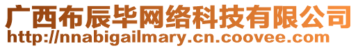 廣西布辰畢網絡科技有限公司
