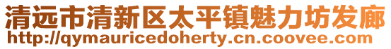 清遠市清新區太平鎮魅力坊發廊