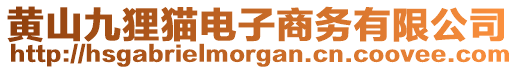 黃山九貍貓電子商務有限公司