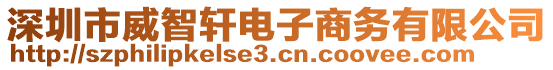 深圳市威智軒電子商務(wù)有限公司