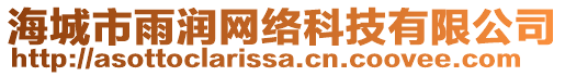 海城市雨潤(rùn)網(wǎng)絡(luò)科技有限公司