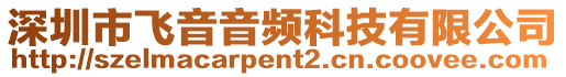 深圳市飛音音頻科技有限公司