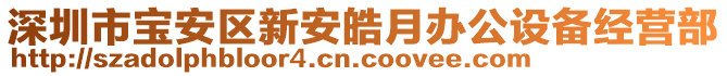 深圳市寶安區(qū)新安皓月辦公設(shè)備經(jīng)營(yíng)部