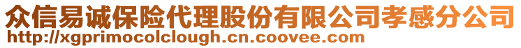 眾信易誠保險代理股份有限公司孝感分公司