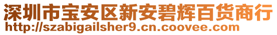 深圳市寶安區(qū)新安碧輝百貨商行