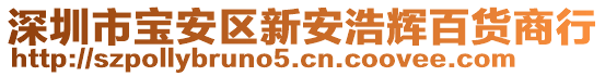 深圳市寶安區(qū)新安浩輝百貨商行