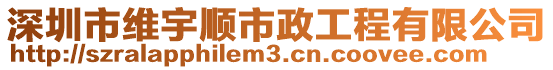 深圳市維宇順市政工程有限公司