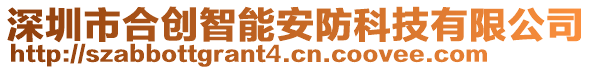 深圳市合創(chuàng)智能安防科技有限公司