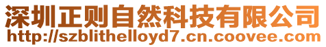 深圳正則自然科技有限公司