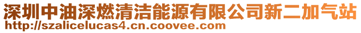 深圳中油深燃清潔能源有限公司新二加氣站