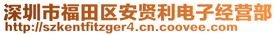 深圳市福田區(qū)安賢利電子經營部