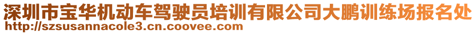 深圳市寶華機動車駕駛員培訓(xùn)有限公司大鵬訓(xùn)練場報名處