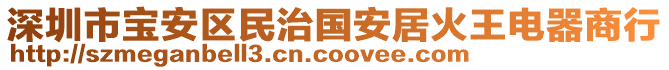 深圳市寶安區(qū)民治國(guó)安居火王電器商行