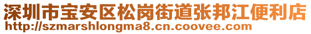 深圳市寶安區(qū)松崗街道張邦江便利店
