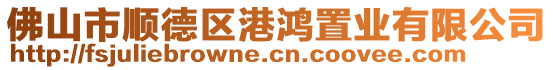 佛山市順德區(qū)港鴻置業(yè)有限公司