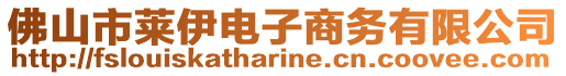 佛山市萊伊電子商務有限公司