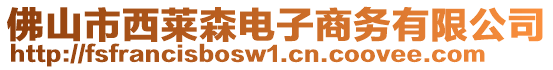 佛山市西萊森電子商務(wù)有限公司