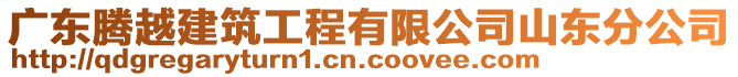 廣東騰越建筑工程有限公司山東分公司