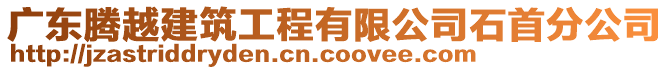 廣東騰越建筑工程有限公司石首分公司