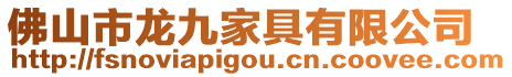 佛山市龍九家具有限公司