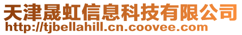 天津晟虹信息科技有限公司