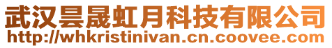 武漢曇晟虹月科技有限公司