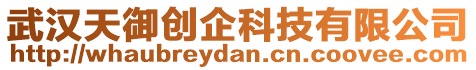 武漢天御創企科技有限公司