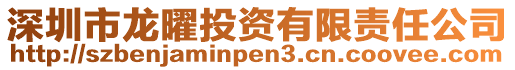 深圳市龍曜投資有限責任公司