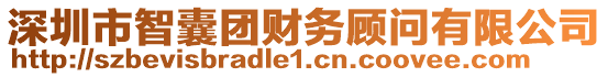 深圳市智囊團財務(wù)顧問有限公司