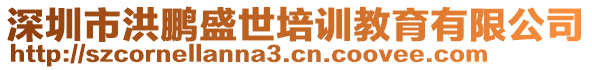 深圳市洪鵬盛世培訓教育有限公司